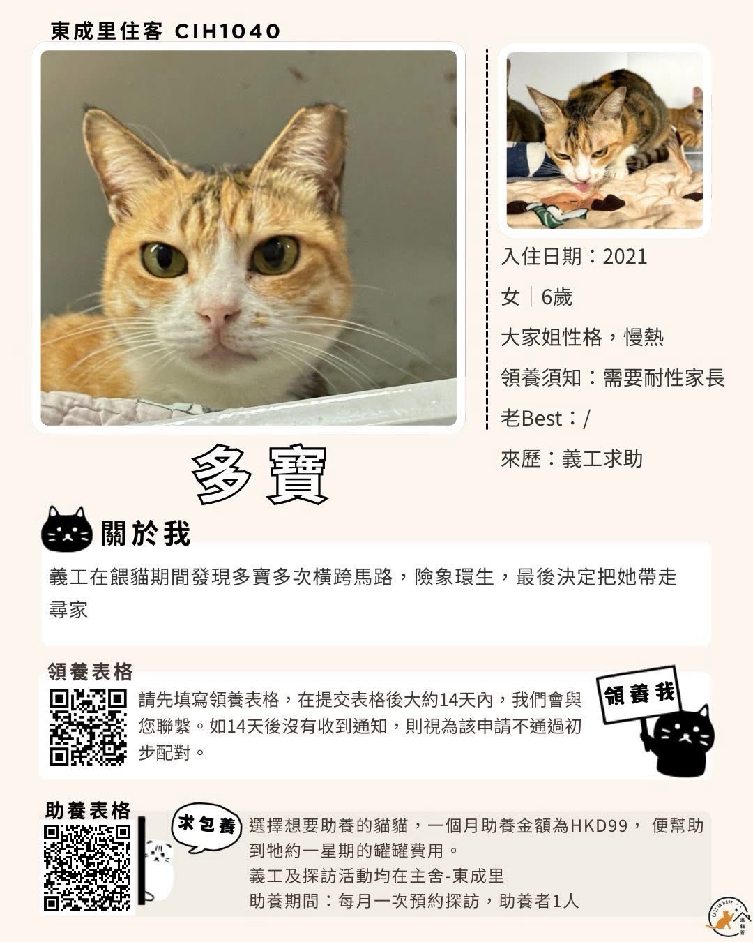 多寶